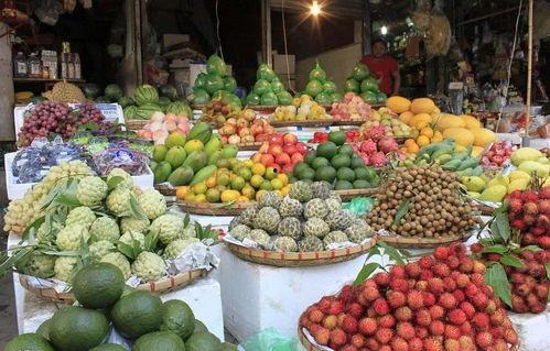 国产越南水果视频,国产与越南水果的视觉之旅