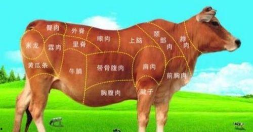 国产分割牛脖肉视频在线,在线观看美味诞生瞬间
