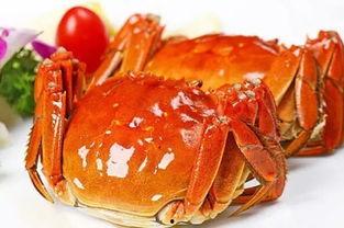 国产小螃蟹怎么排油视频,轻松烹饪健康美味佳肴