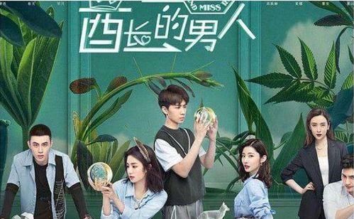 高甜国产剧片段大全视频,高甜国产剧片段大盘点