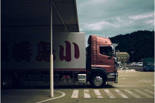 国产卡车运输纪录片视频,国产卡车运输的辉煌征程