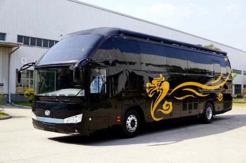 海外国产大巴车视频播放,穿梭异国街头，展现中国制造魅力