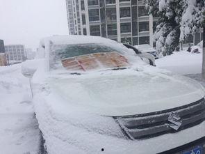 国产四驱雪地行驶视频,极致驾驭体验全纪录