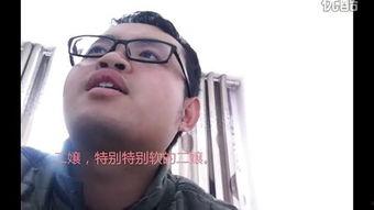 国产极品在线小视频,揭秘国内短视频领域的魅力与挑战