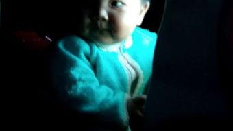 国产同性胖子视频在线