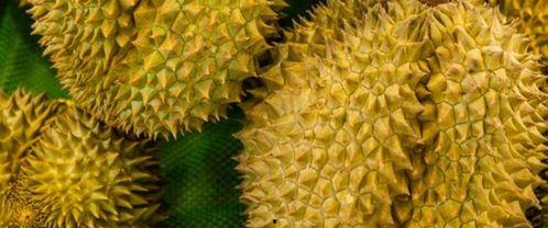 催熟国产榴莲视频大全,国产榴莲视频大全解析