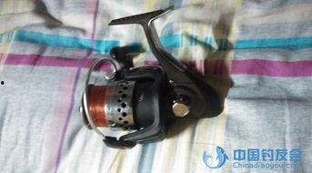 国产夜钓渔具视频,揭秘夜间垂钓新体验