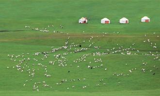 草原国产小视频