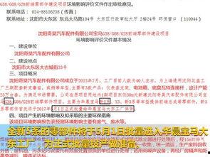 国产五系生产过程视频,从原料到成品的蜕变之旅