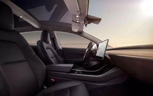 国产车有三百马力吗视频